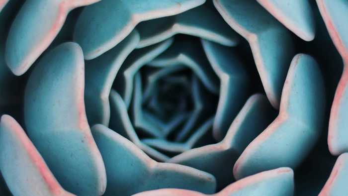 Curated Podcast Series 01